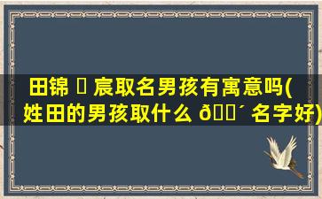 田锦 ☘ 宸取名男孩有寓意吗(姓田的男孩取什么 🌴 名字好)